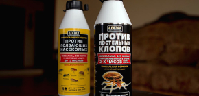 Insecticides Hector contre les punaises de lit et autres insectes