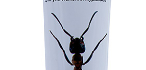 Gel-pâte Dezus de fourmis