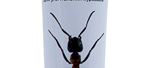 Gel-paste Dezus από μυρμήγκια