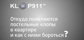 Από πού προέρχονται οι κοριοί στο διαμέρισμα και τι να κάνετε αν βρεθούν