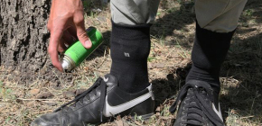 Efficaci repellenti per le zecche