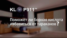 Πώς να χρησιμοποιήσετε το βορικό οξύ από τις κατσαρίδες και σε ποιες περιπτώσεις είναι άχρηστο να το χρησιμοποιήσετε