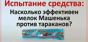 Δοκιμάζουμε την κιμωλία Mashenka σε κατσαρίδες και βλέπουμε τι προέκυψε