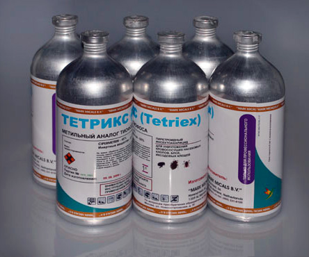 Επαγγελματική θεραπεία για κοριούς Tetrix