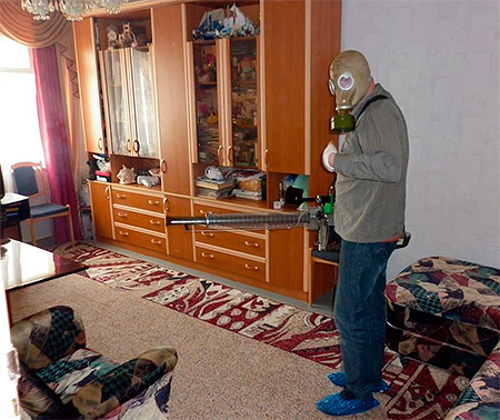 Απολύμανση του δωματίου από έντομα λινό