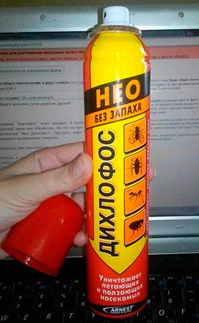 Διχλωρόβος Νέο