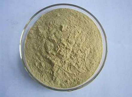 Feverfew - powder from ground chamomile inflorescences