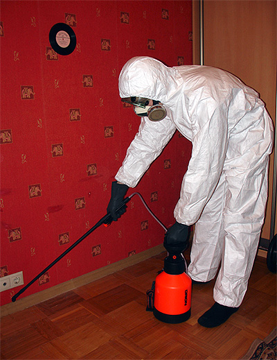 The exterminator processes the apartment