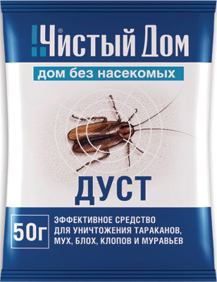 Insect dust Chisty Dom