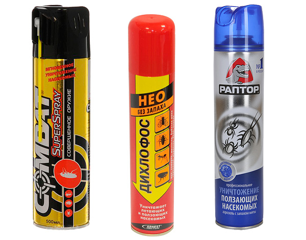 Προϊόντα αεροζόλ - Combat SuperSpray, Dichlorvos Neo και Raptor από έρποντα έντομα.