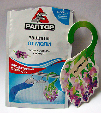 Τμήμα από το σκώρο Raptor