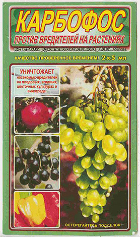 Karbofos σε αμπούλες (συμπυκνωμένο)