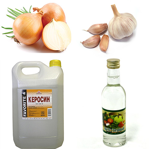 Πριν επιλέξετε μια λαϊκή θεραπεία, πρέπει να καταλάβετε τι είδους ψείρες θα πρέπει να αφαιρεθούν
