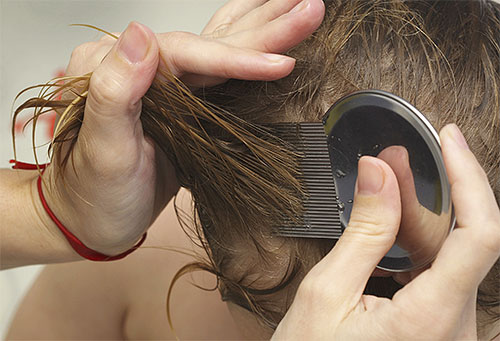 Lors de l'utilisation d'un peigne à poux, les cheveux de l'enfant doivent être soigneusement peignés, mèche par mèche.