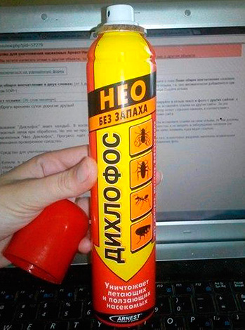 Dichlorvos Neo - σε αντίθεση με το παλιό σοβιετικό Dichlorvos, δεν έχει δυσάρεστη οσμή.