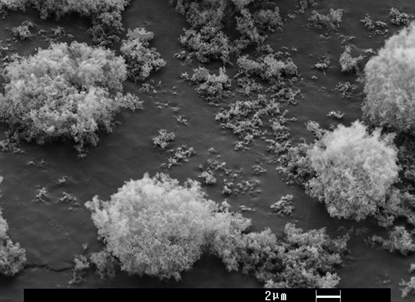 Apparition de particules de silice synthétique au microscope