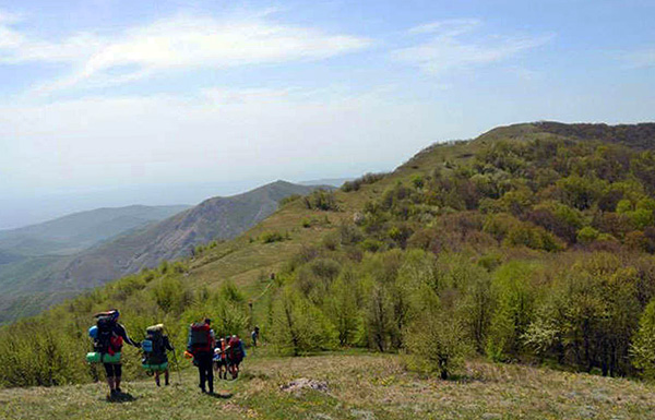 Οι άνθρωποι που μένουν στο δάσος για μεγάλο χρονικό διάστημα σε μια επιδημιολογικά μειονεκτική περιοχή κινδυνεύουν περισσότερο.