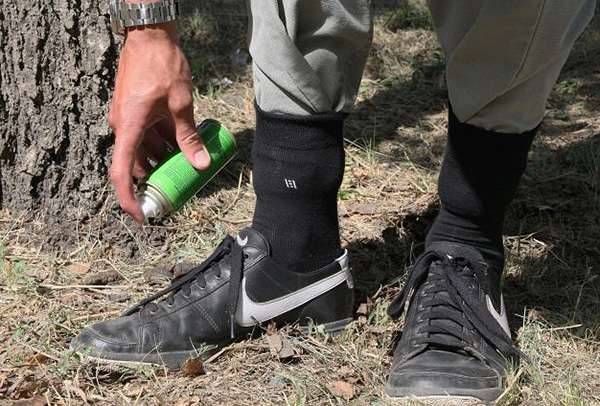 Scopriamo quale repellente è in grado di proteggere meglio una persona dalle punture di zecca in natura ...