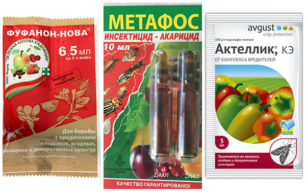 Insektoakaricídne nervové látky