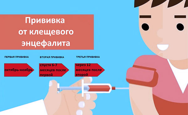 Vaccinazione contro l'encefalite da zecche