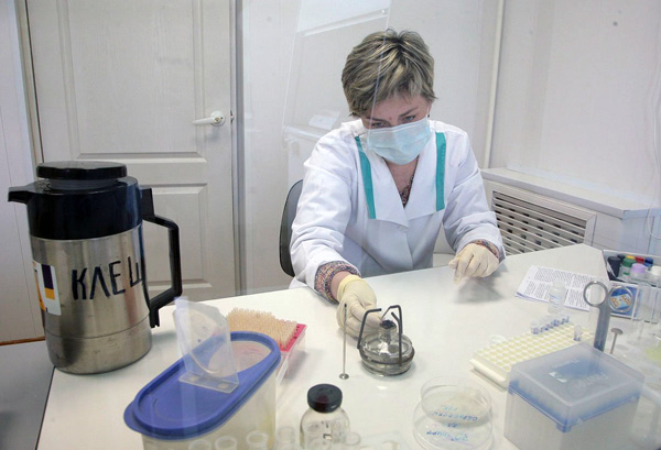 Esame di una zecca in laboratorio per l'encefalite