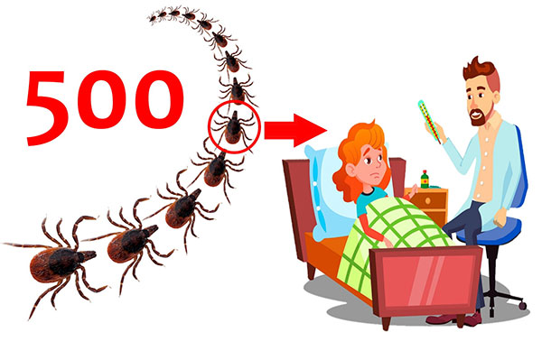 Una zecca su 500 può portare l'encefalite