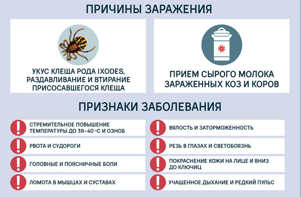 Sintomi di infezione da encefalite