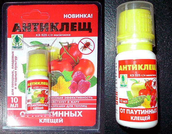 Proti roztočom proti roztočom